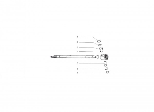 Motor Achswelle hinten - Ape 50ccm 2T AC 1996- TL5T