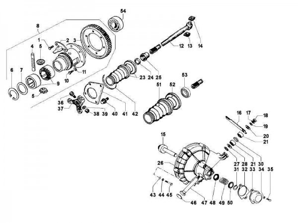 Motor Hinterachsantrieb - Calessino 422ccm 4T LC 2007-2008 ZAPT2D4MC