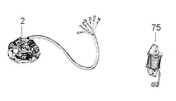 Motor Lichtmaschine - Ape Car 220ccm 2T AC 1985- AF4T