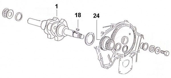 Motor Kurbelwelle - Ape Poker 422ccm 4T AC 1990-1993 M4R1T