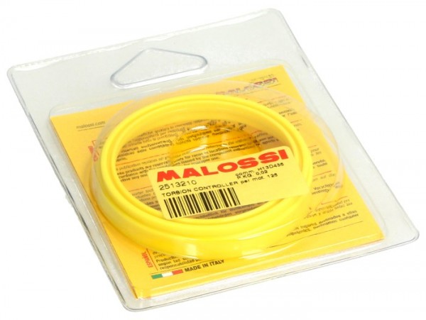 Malossi Torsion Controller