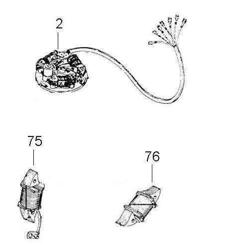 Motor Lichtmaschine - Ape TM 220ccm 2T AC 1982-1983 ATM1T