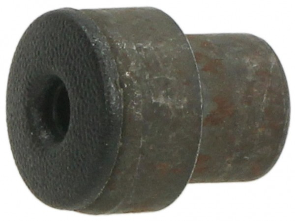 Zapfen