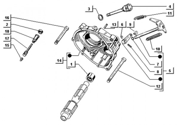 Motor Differentialgehäuse - Ape TM 703 mit Lenkrad 220ccm 2T AC 2000-2007 ATM2T