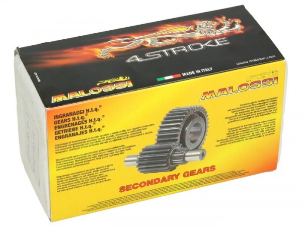 Malossi Getrieberad, Anzahl Zähne: 22/45