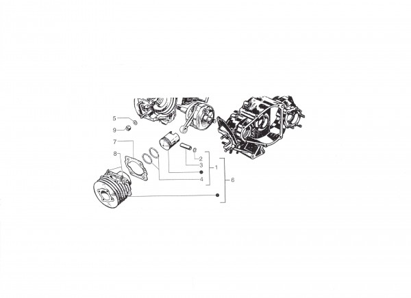 Motor Zylinder - Ape 50ccm 2T AC 1996- TL5T