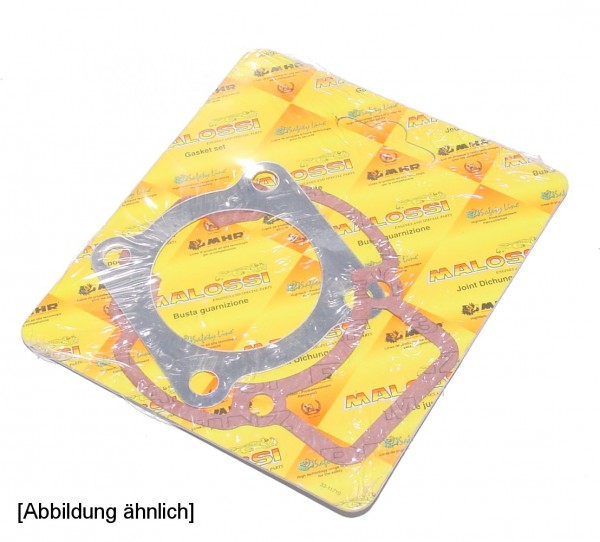 Malossi Motor Dichtungssatz