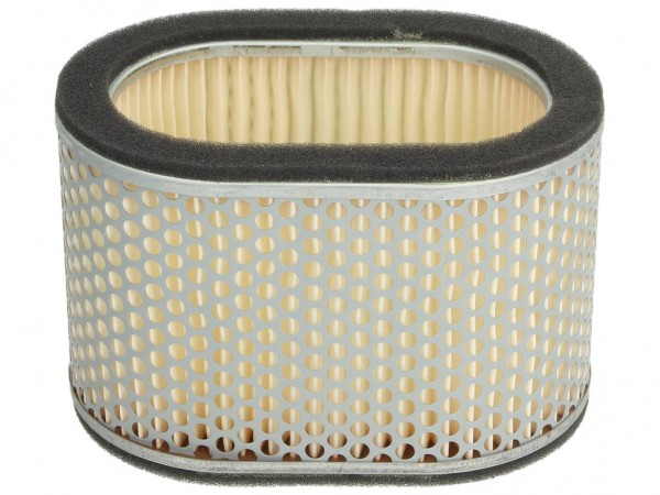 HiFlo Luftfiltereinsatz, HFA3901