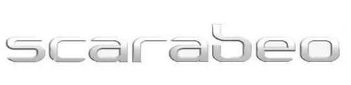 Schriftzug, Scarabeo, silber