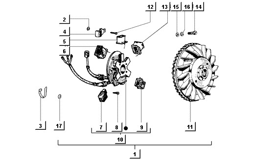 Motor Lichtmaschine - Ape Mix 50ccm 2T AC 1998-2008 ZAPC80000