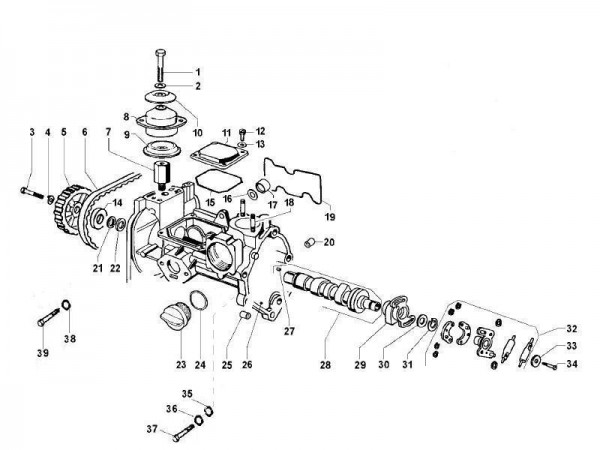Motor Schwinghebelhalterung - Calessino 422ccm 4T LC 2007-2008 ZAPT2D4MC